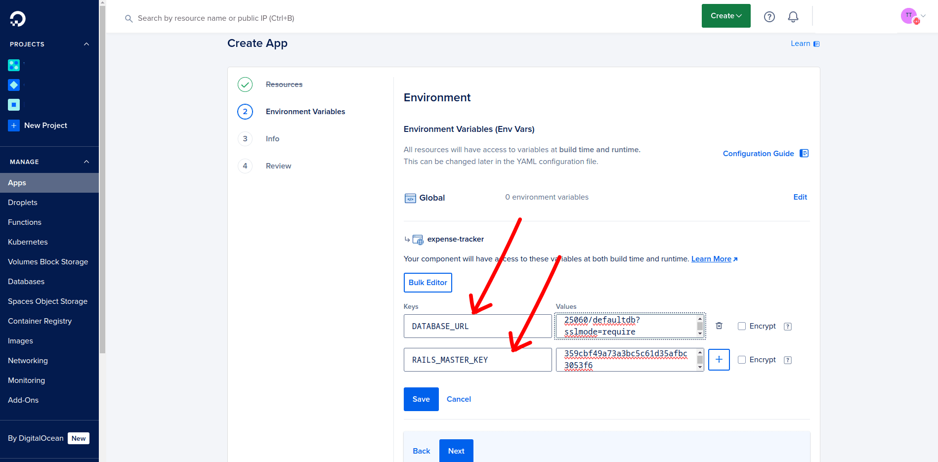 Setting up the environment variables
